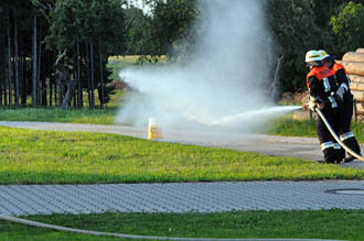 lw6